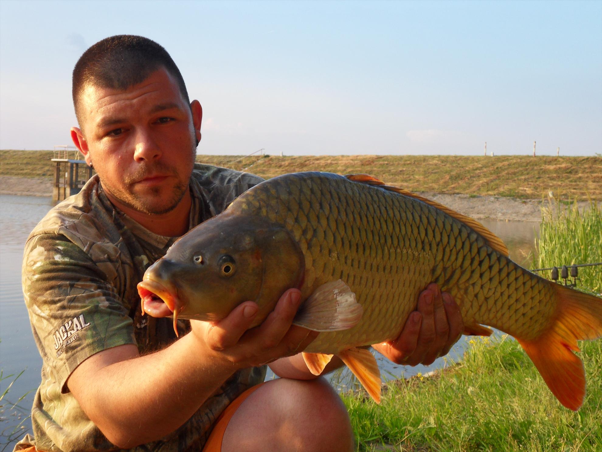 Cetariu 2011 - cetariu2011-193.JPG